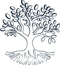 Medcon Media animated logo