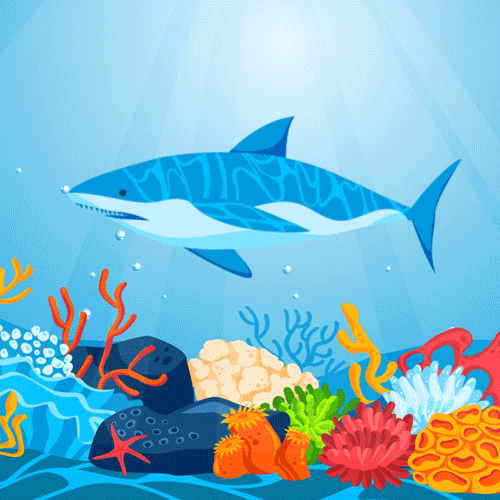 Shark animated motion graphic